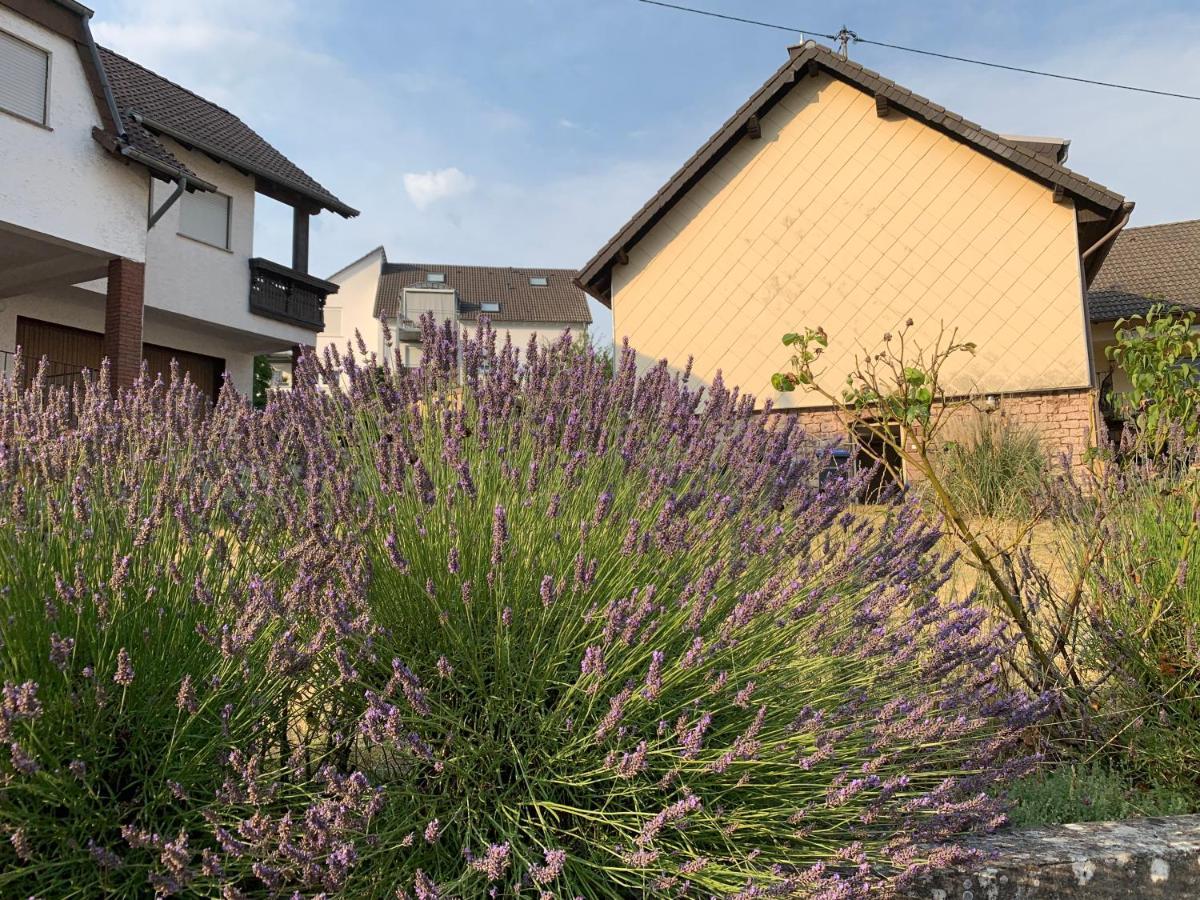 Home Feeling Trierweiler ภายนอก รูปภาพ